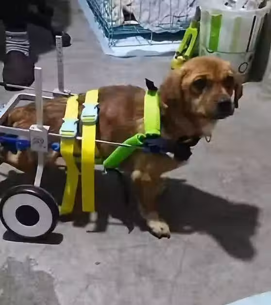 /www/bananadaily.net/web/images/image/2029/20292332.avif