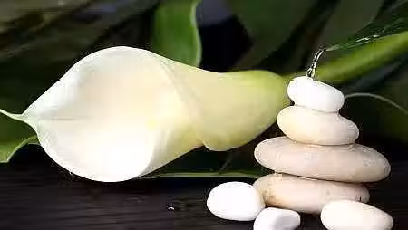 /www/bananadaily.net/web/images/image/2029/20293030.avif