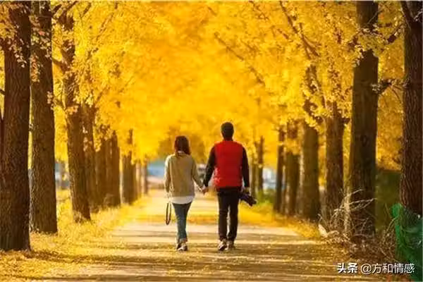 /www/bananadaily.net/web/images/image/2029/20293622.avif