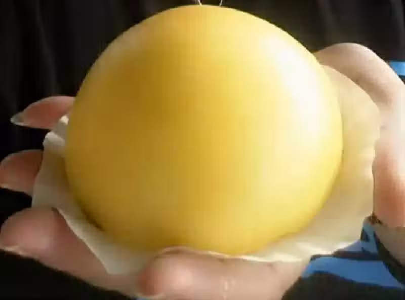 /www/bananadaily.net/web/images/image/2029/20293898.avif