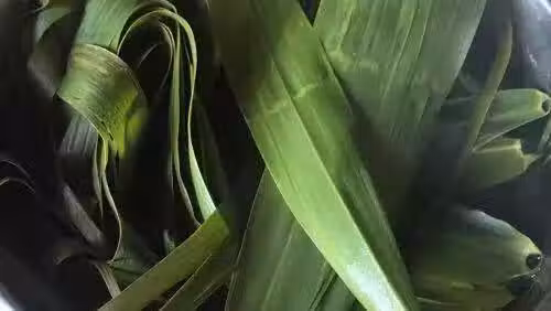/www/bananadaily.net/web/images/image/2029/20294991.avif