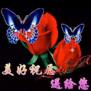 /www/bananadaily.net/web/images/image/2029/20295631.avif