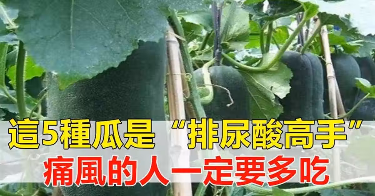 /www/bananadaily.net/web/images/image/2086/20869071.avif