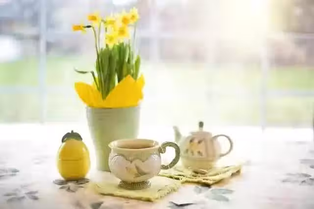 /www/bananadaily.net/web/images/image/2272/22728593.avif