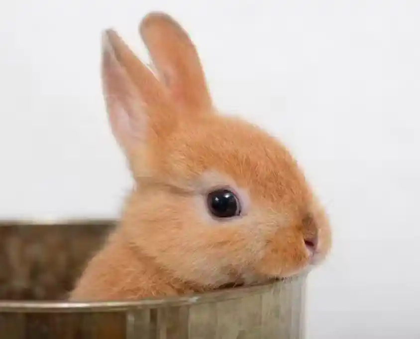 /www/bananadaily.net/web/images/image/2275/22750921.avif
