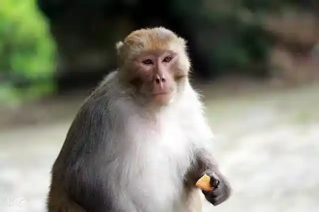 /www/bananadaily.net/web/images/image/2275/22751775.avif