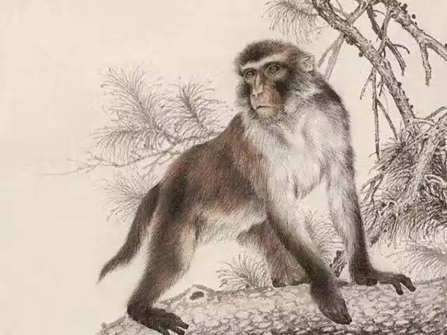 /www/bananadaily.net/web/images/image/2275/22751776.avif