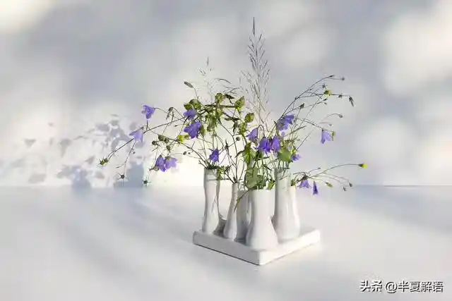 /www/bananadaily.net/web/images/image/2275/22751860.avif