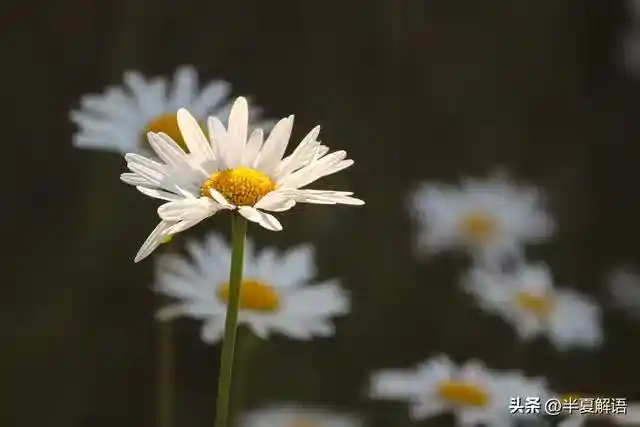 /www/bananadaily.net/web/images/image/2275/22751876.avif