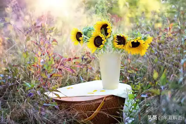 /www/bananadaily.net/web/images/image/2275/22751879.avif