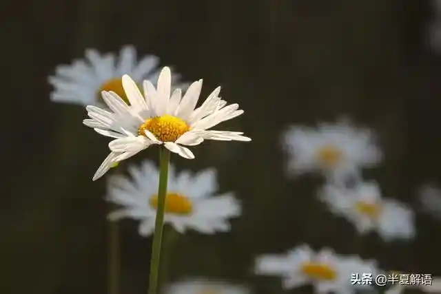 /www/bananadaily.net/web/images/image/2275/22751881.avif