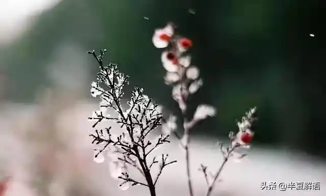 /www/bananadaily.net/web/images/image/2275/22751884.avif
