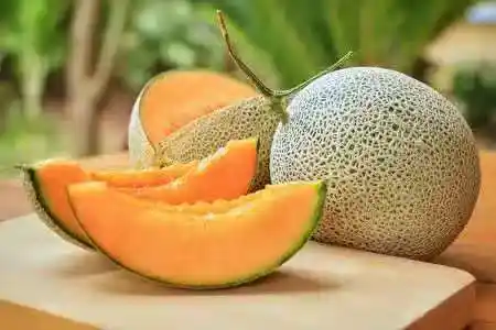 /www/bananadaily.net/web/images/image/2275/22752434.avif