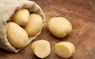 /www/bananadaily.net/web/images/image/2275/22752435.avif
